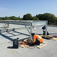 Westland Shines In Supporting Role